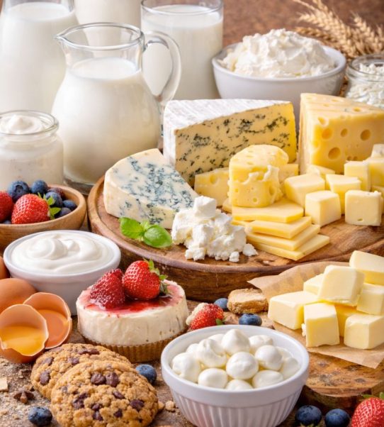 Dairy Flavours