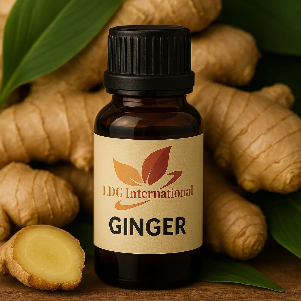 Ginger Flavour