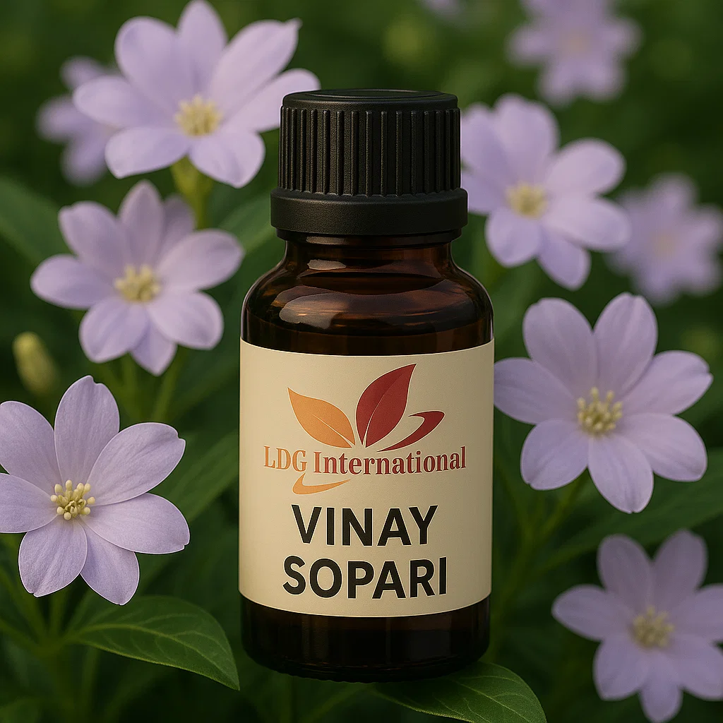 Vinay Sopari Flavour